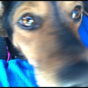 Meet your Posher, Justin